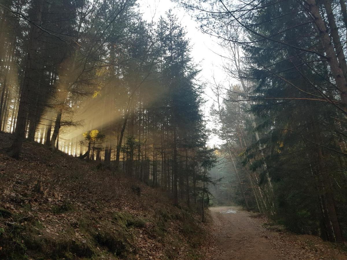 Pokoje Goscinne Art- Dworek Kudowa-Zdrój Exteriör bild