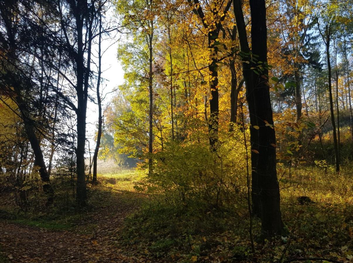 Pokoje Goscinne Art- Dworek Kudowa-Zdrój Exteriör bild