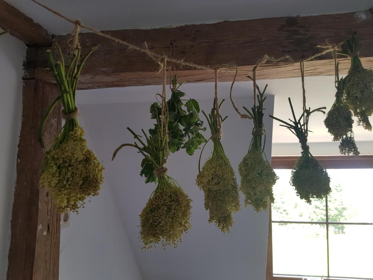 Pokoje Goscinne Art- Dworek Kudowa-Zdrój Exteriör bild