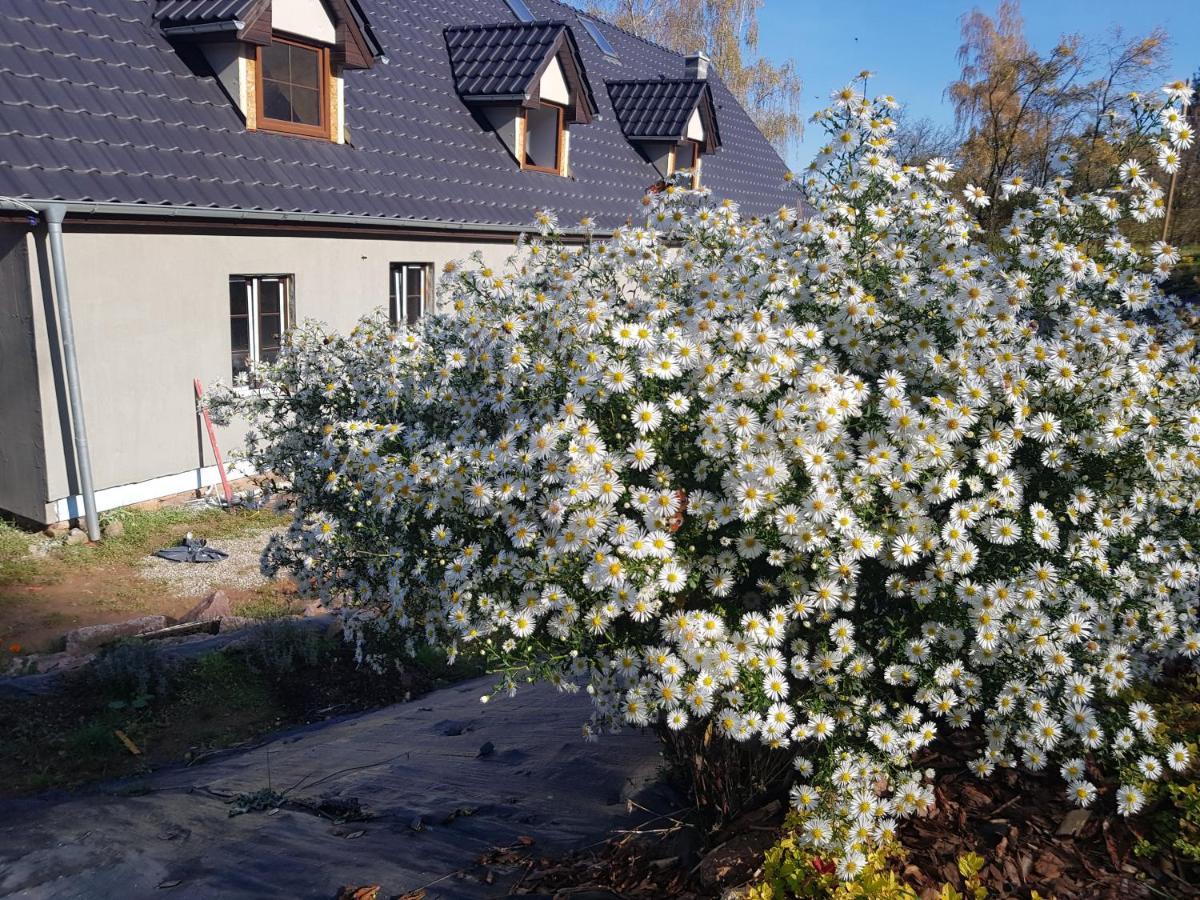 Pokoje Goscinne Art- Dworek Kudowa-Zdrój Exteriör bild