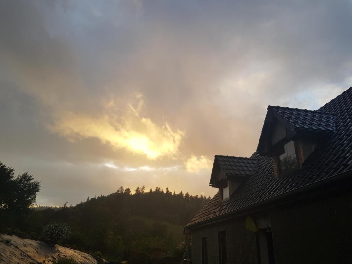 Pokoje Goscinne Art- Dworek Kudowa-Zdrój Exteriör bild