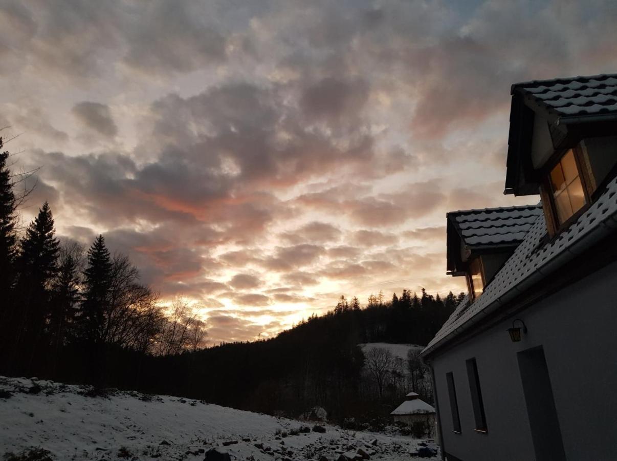 Pokoje Goscinne Art- Dworek Kudowa-Zdrój Exteriör bild