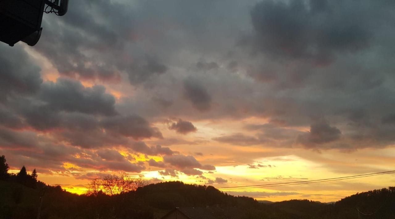 Pokoje Goscinne Art- Dworek Kudowa-Zdrój Exteriör bild