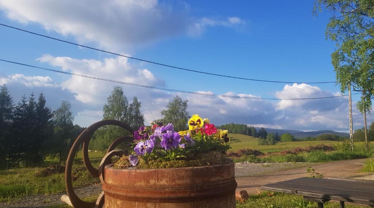 Pokoje Goscinne Art- Dworek Kudowa-Zdrój Exteriör bild
