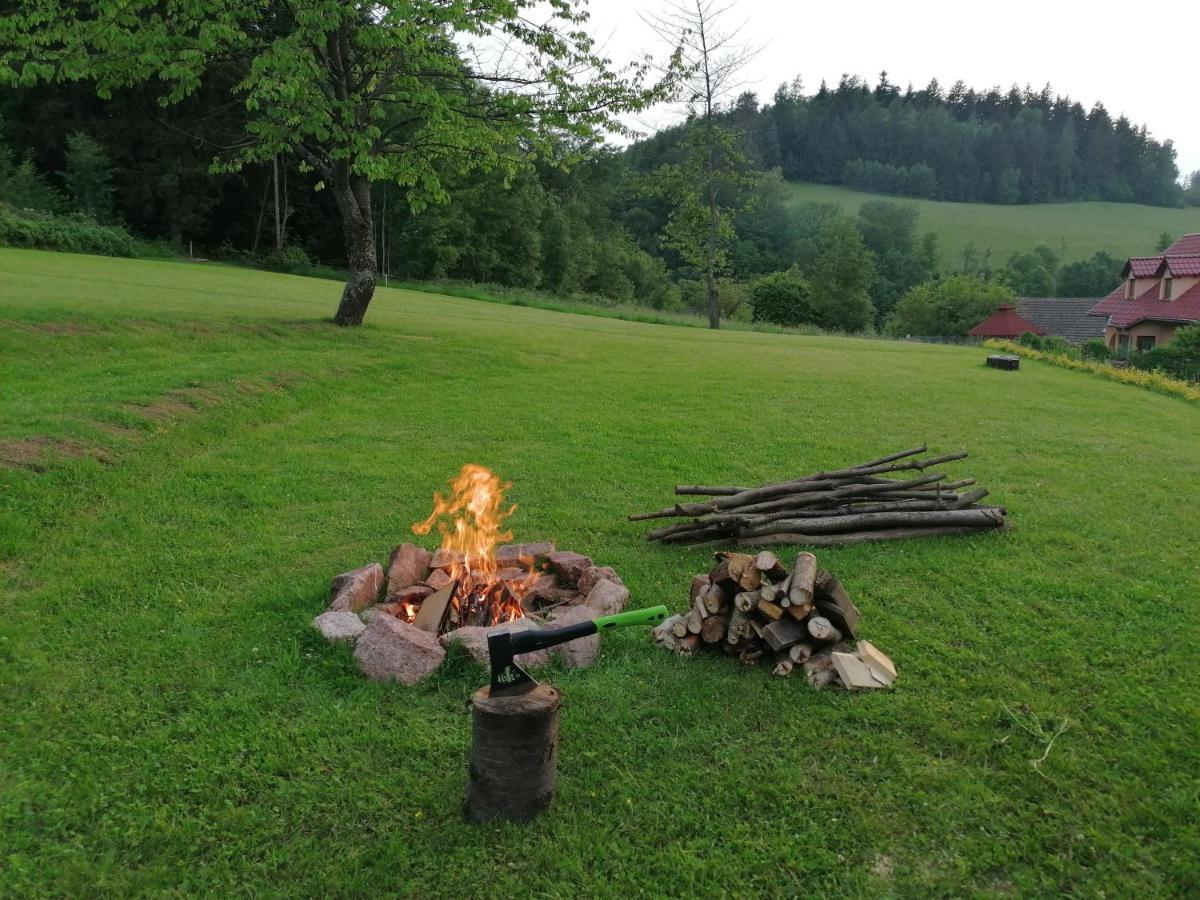 Pokoje Goscinne Art- Dworek Kudowa-Zdrój Exteriör bild