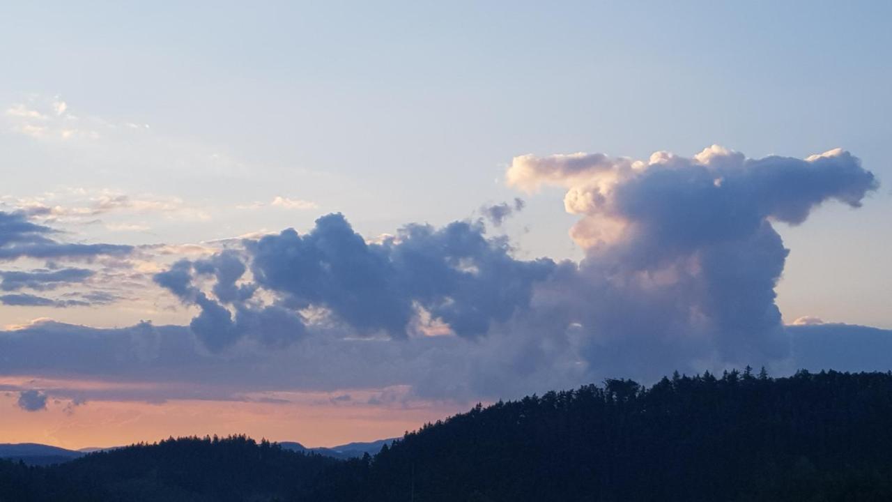 Pokoje Goscinne Art- Dworek Kudowa-Zdrój Exteriör bild