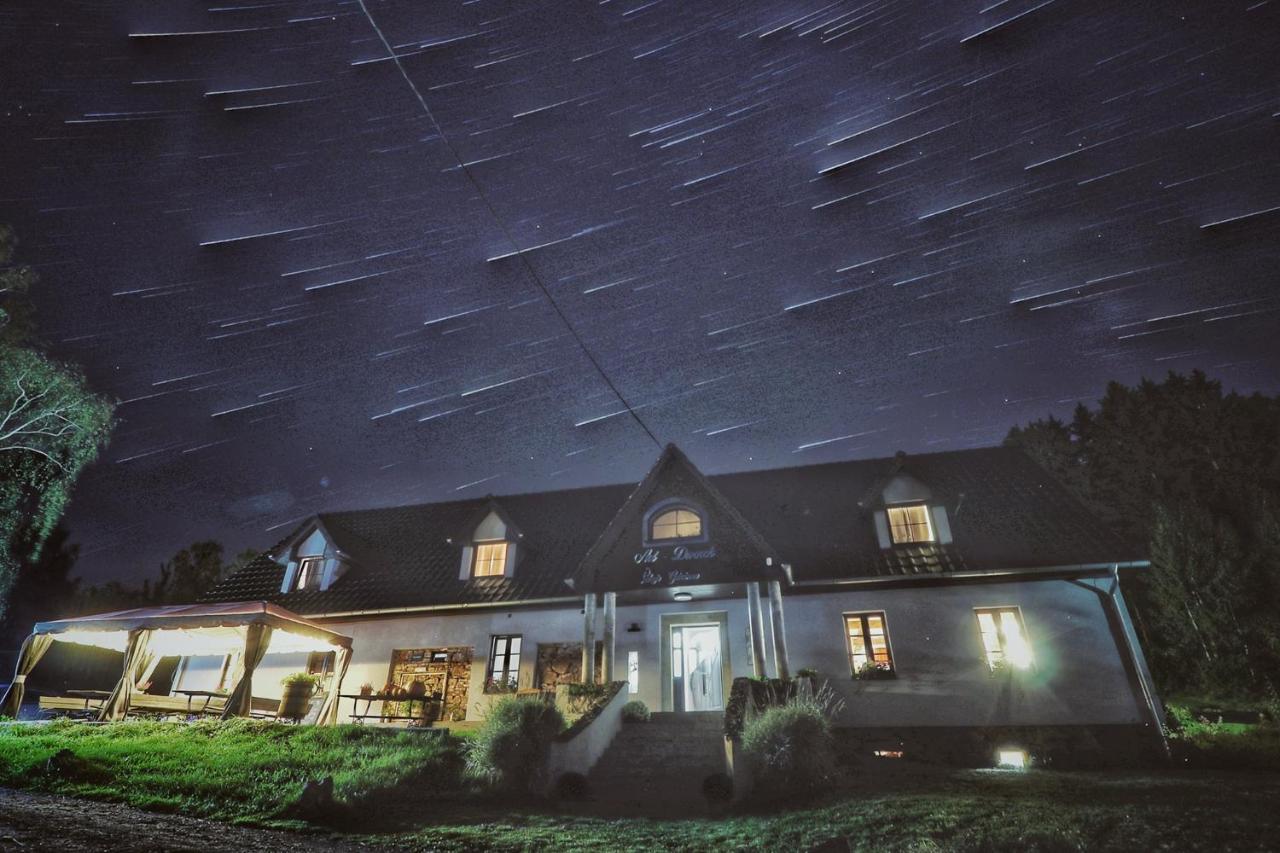 Pokoje Goscinne Art- Dworek Kudowa-Zdrój Exteriör bild