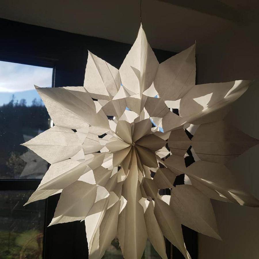 Pokoje Goscinne Art- Dworek Kudowa-Zdrój Exteriör bild