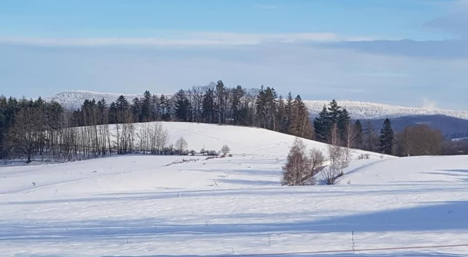 Pokoje Goscinne Art- Dworek Kudowa-Zdrój Exteriör bild