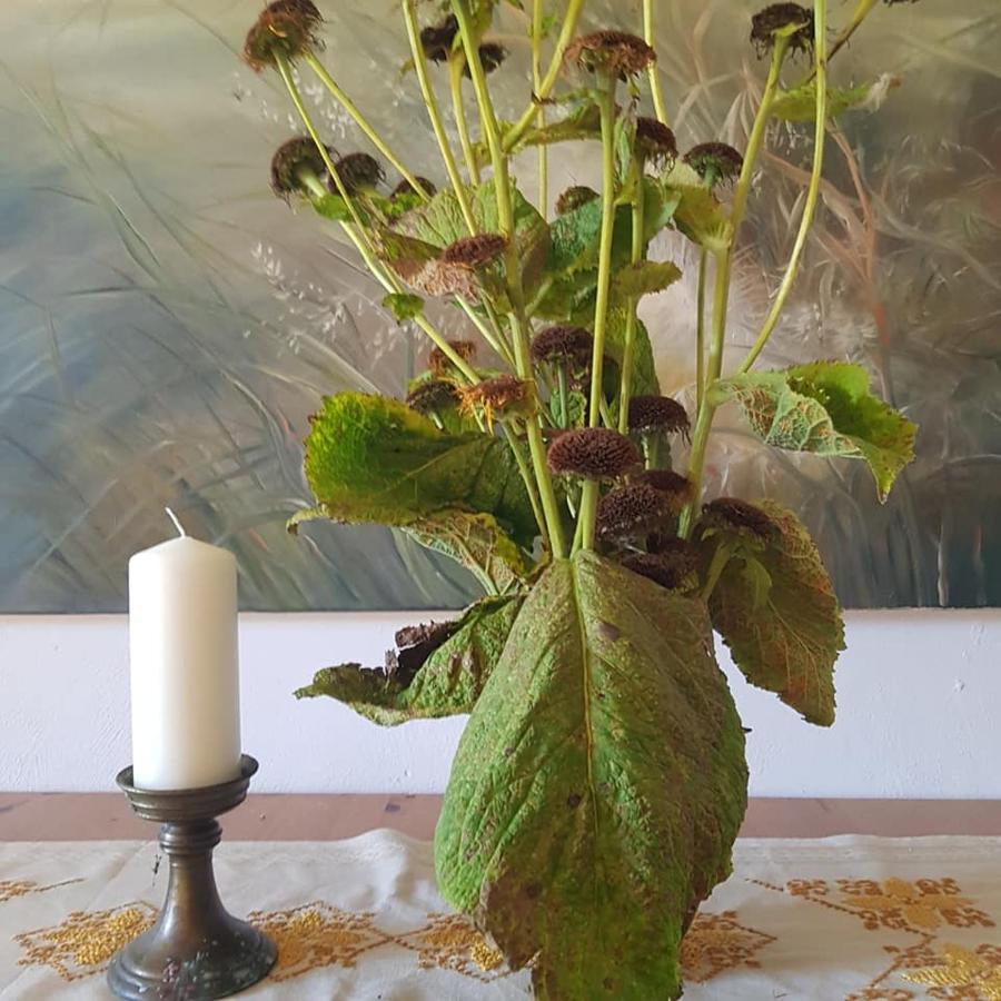 Pokoje Goscinne Art- Dworek Kudowa-Zdrój Exteriör bild